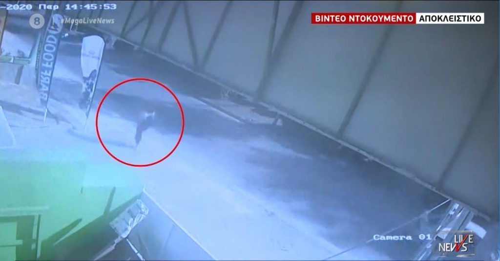 Εξαφάνιση 19χρονης – Κορωπί: Ζητήθηκε άρση τηλεφωνικού απορρήτου