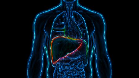 Το ηπατοκυτταρικό καρκίνωμα (ΗΚΚ)