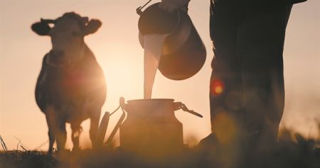 Το αίνιγμα της λακτόζης