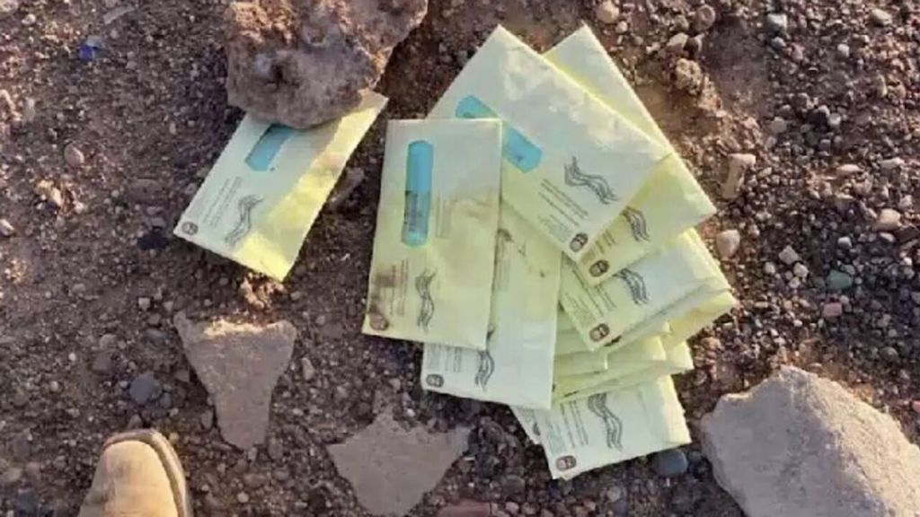 Εκλογές ΗΠΑ : Ερευνα για κλοπή επιστολικών ψήφων στην Αριζόνα