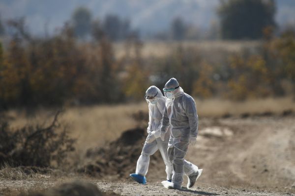 Κορωνοϊός : Θανατώθηκαν πάνω από 1.800 μινκ – Ελεγχοι σε άλλες 4 φάρμες