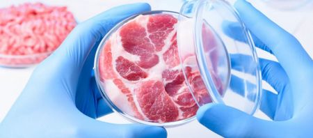 Τι είναι το «τεχνητό κρέας» και πώς επηρεάζει το περιβάλλον