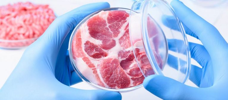 Τι είναι το «τεχνητό κρέας» και πώς επηρεάζει το περιβάλλον | tovima.gr
