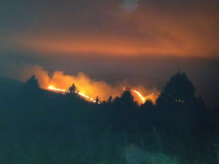 Μαίνεται η φωτιά στον Άγιο Πέτρο Κυνουρίας | tovima.gr