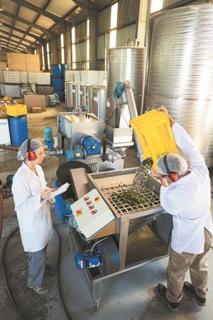 Επίδομα 800 ευρώ στους εργαζομένους, εφάπαξ ενίσχυση στους ανέργους