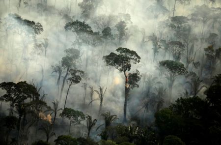 Αμαζόνιος : Χάθηκε έκταση δάσους μεγαλύτερη από την Κρήτη μέσα σε ένα χρόνο