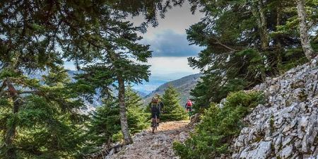 Δημοφιλέστατη η Πάρνηθα