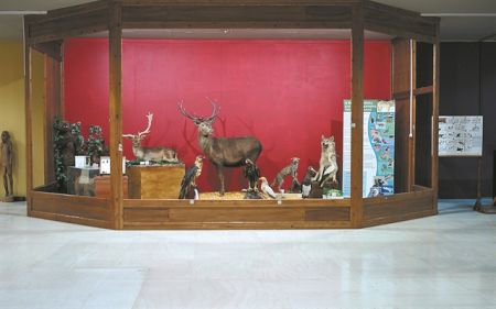 Ενας θησαυρός βιοποικιλότητας