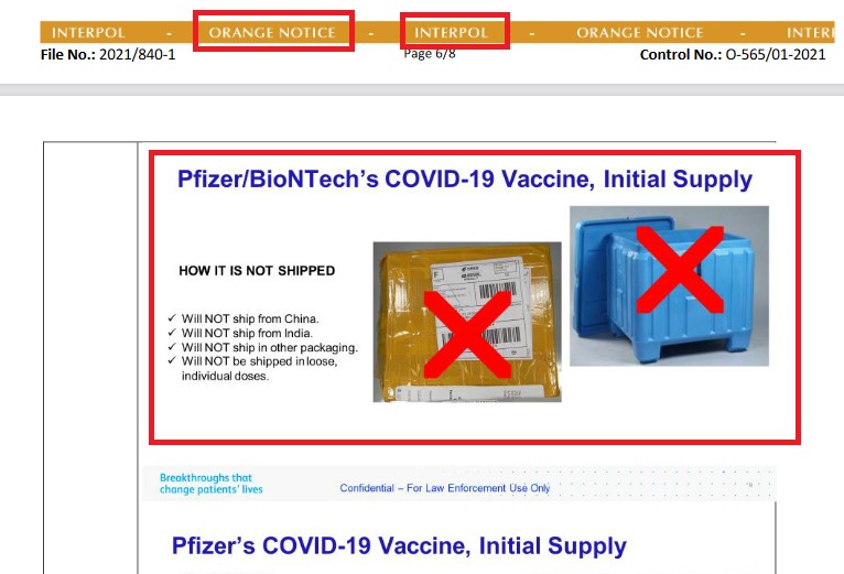ΑΠΟΚΑΛΥΨΗ: Το εμπιστευτικό έγγραφο της ΙΝΤΕΡΠΟΛ για τις απάτες με τα εμβόλια για τον κορωνοϊό