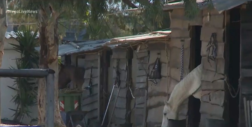 Κορωπί : Νέα στοιχεία για την απόπειρα βιασμού ανήλικης σε σχολή ιππασίας