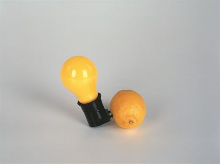 Η μεγάλη επέτειος του Γιόζεφ Μπόις