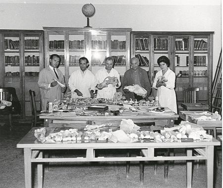 Στα ίχνη των πρώτων ανθρώπων