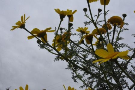 Ερχεται «εισαγόμενο» κύμα ζέστης  – Πού θα σκαρφαλώσει ο υδράργυρος