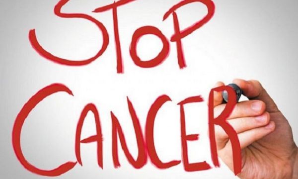 Nέος μηχανισμός καρκινογένεσης ανακαλύφθηκε από Ελληνες ερευνητές | tovima.gr