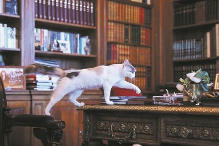 Το ρίσκο των άλλων