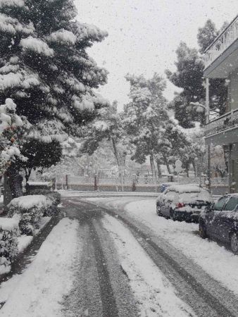 Μήδεια : Ποια σχολεία θα μείνουν κλειστά σήμερα