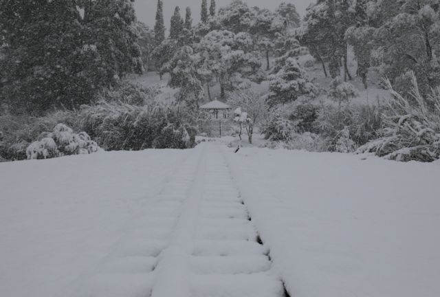 Μήδεια : Νεκρός 56χρονος κτηνοτρόφος στην Κρήτη