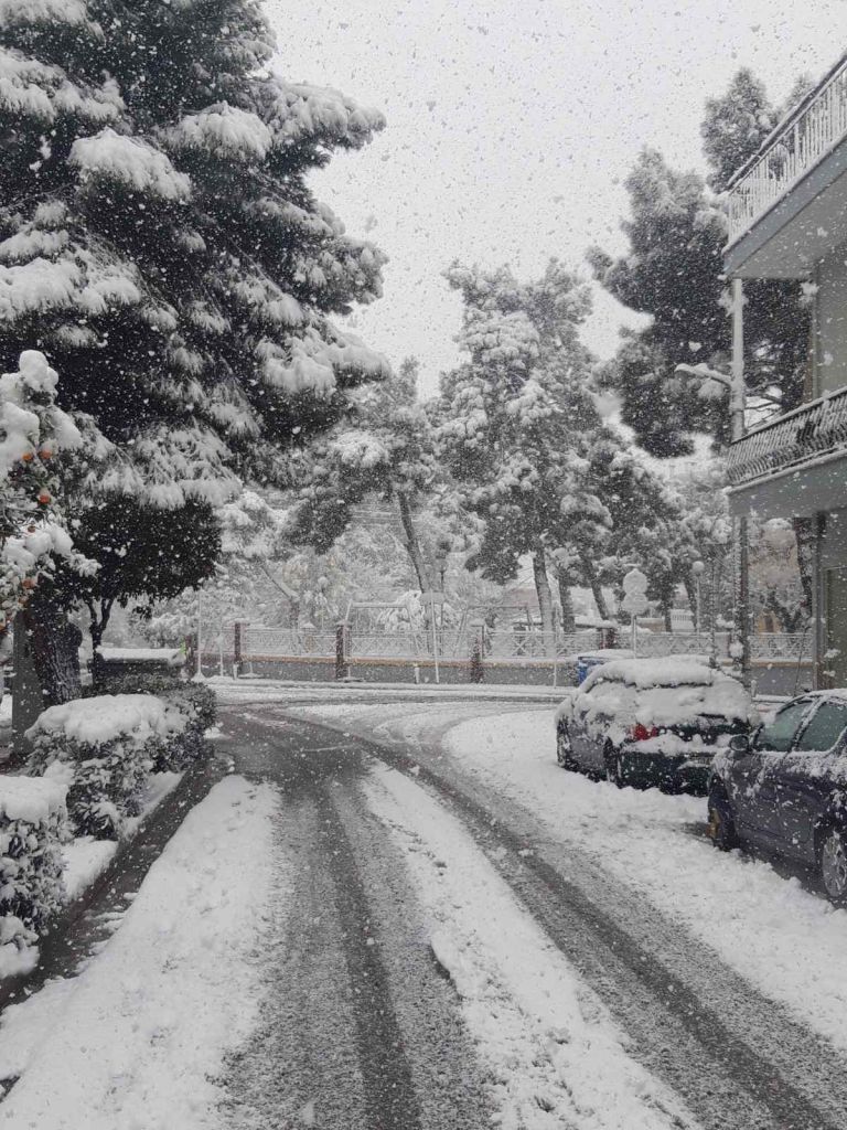 Μήδεια : Ποια σχολεία θα μείνουν κλειστά σήμερα