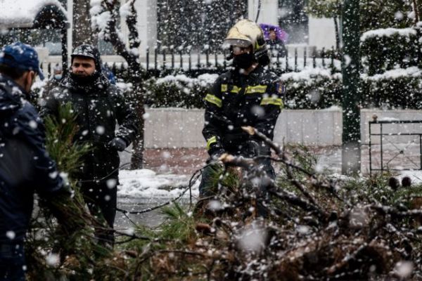 Μήδεια : Χιλιάδες νοικοκυριά χωρίς ρεύμα – Πού εντοπίζονται τα μεγαλύτερα προβλήματα