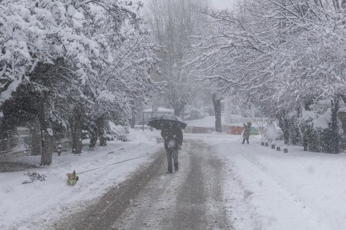 Μήδεια : Χωρίς ρεύμα 250.000 νοικοκυριά – Nέα σύσκεψη στην Πολιτική Προστασία
