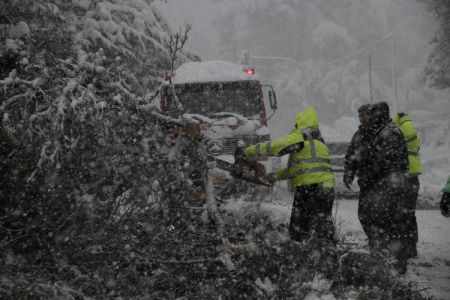 Μήδεια: Ξεπέρασαν τις 2.700 οι κλήσεις στην πυροσβεστική