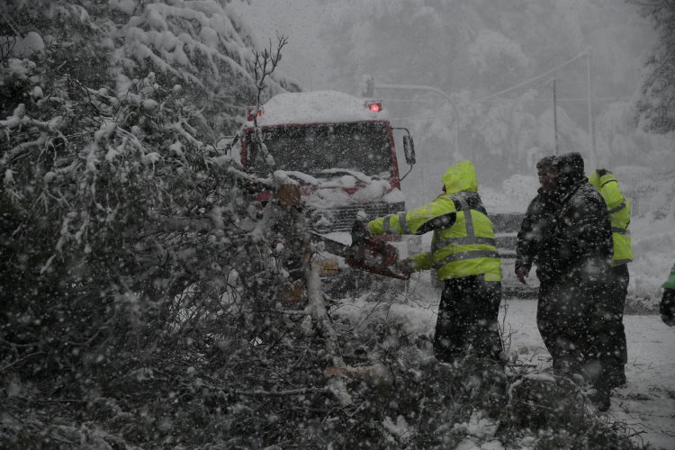 Μήδεια: Ξεπέρασαν τις 2.700 οι κλήσεις στην πυροσβεστική