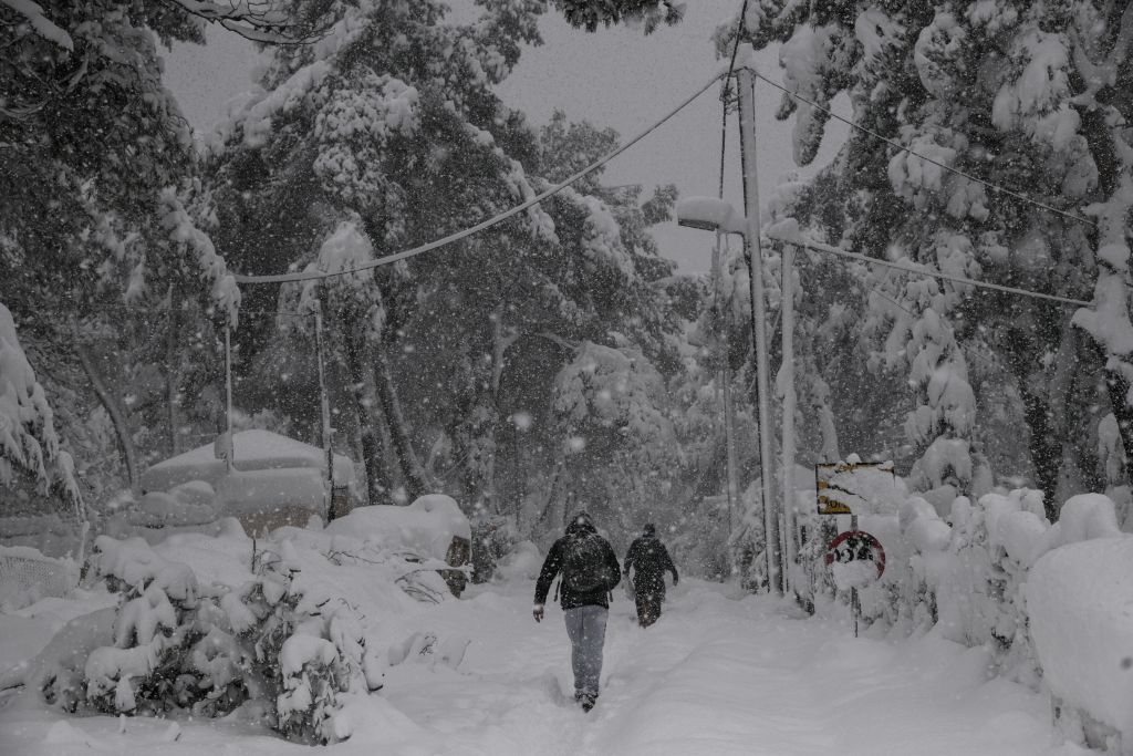 Μήδεια : Έβγαλαν… τα τρόφιμα στο χιόνι για μην χαλάσουν