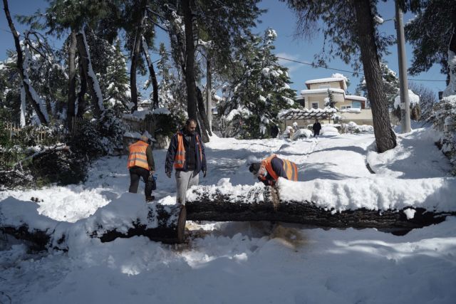 Πόλεμος ανακοινώσεων ΔΕΔΔΗΕ-ΚΕΔΕ για το κλάδεμα των δέντρων