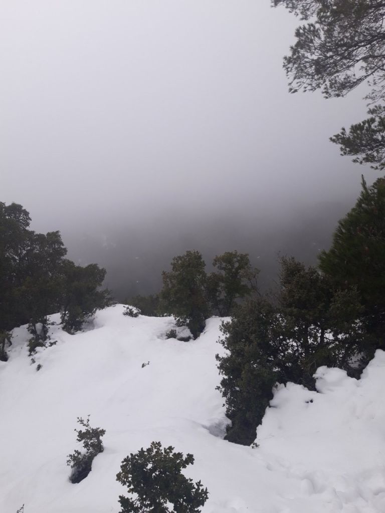 Χωρίς τις αισθήσεις του εντοπίστηκε ο 45χρονος που αγνοούνταν στην Πάρνηθα