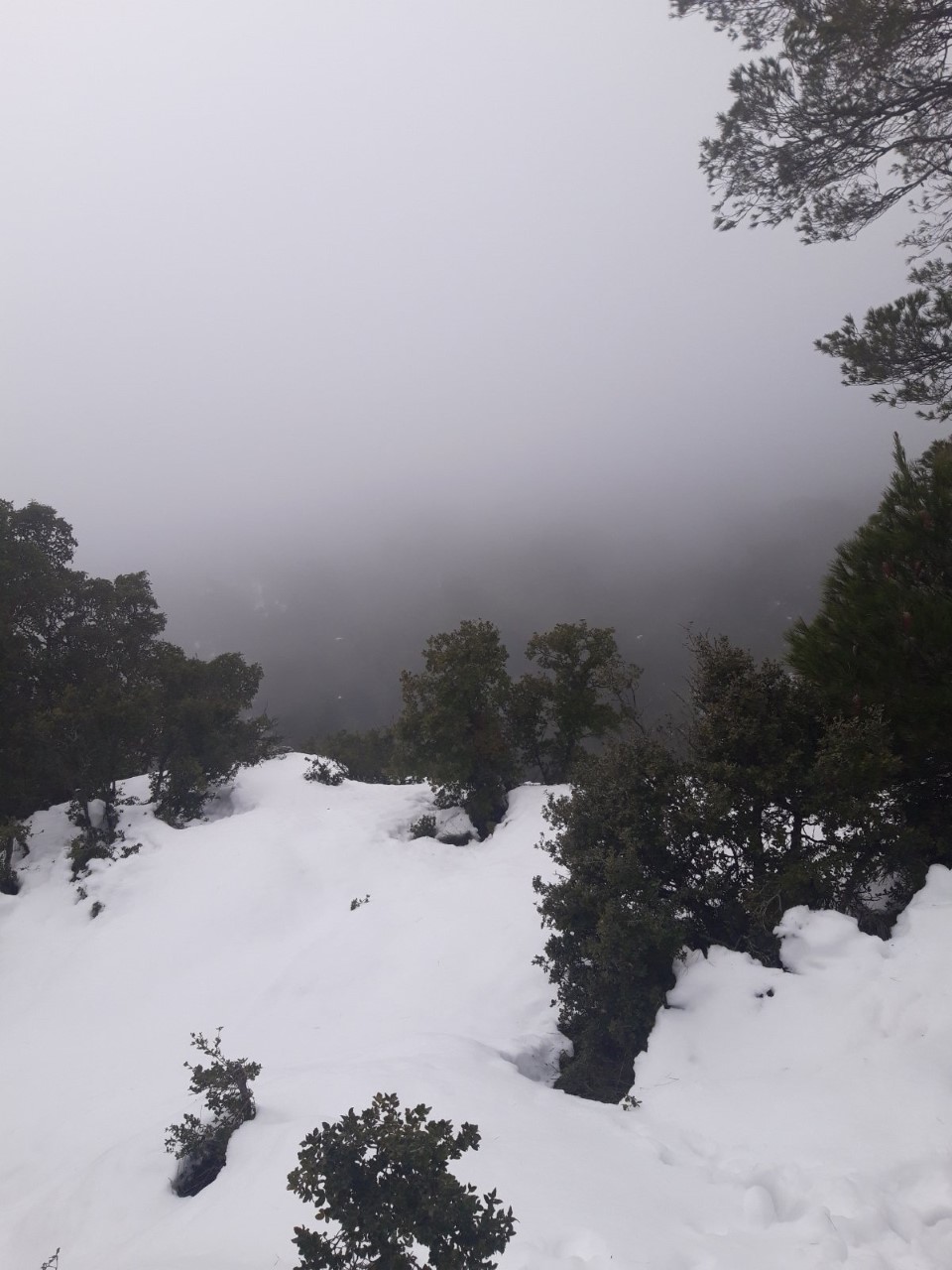 Χωρίς τις αισθήσεις του εντοπίστηκε ο 45χρονος που αγνοούνταν στην Πάρνηθα
