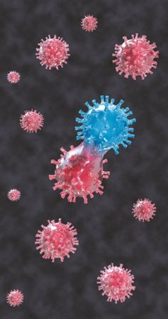 Aνησυχία από τον εντοπισμό «υβριδίου» του ιού