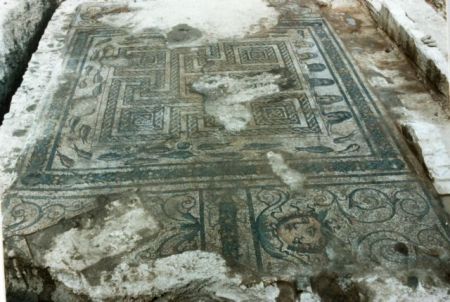 30 λέξεις για την Απέλλα