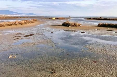 Άμπωτη : Υποχώρησαν τα νερά από τον Θερμαϊκό μέχρι το Καβούρι – Το σπάνιο φαινόμενο