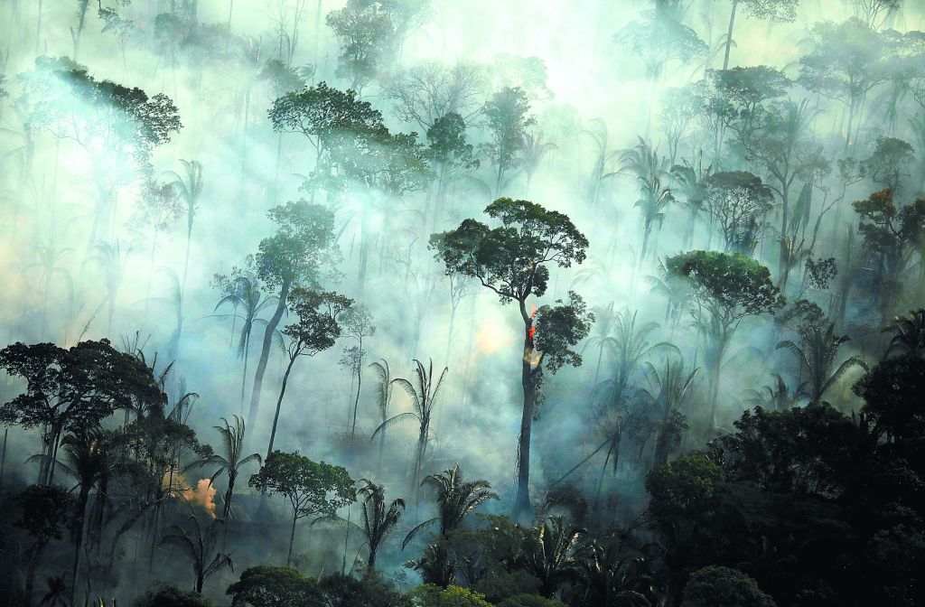 Νεκρά ή ετοιμοθάνατα» τα δύο τρίτα των τροπικών υγρών δασών - Ειδήσεις -  νέα - Το Βήμα Online