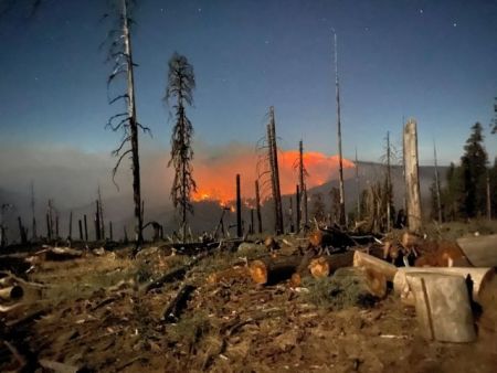 Αργεντινή : Οργή για τις φωτιές στα δάση της Παταγονίας – Τραυματίες και αγνοούμενοι