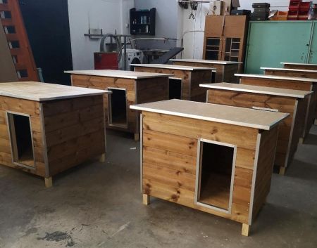 Συγκινητική πρωτοβουλία: Κρατούμενοι φτιάχνουν σπιτάκια για αδέσποτα ζώα