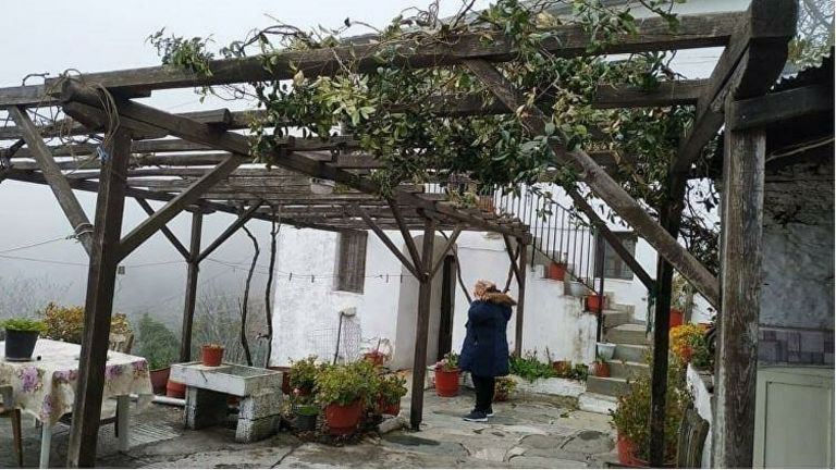 Μακρινίτσα : Ο φονιάς κάρφωσε στην καρδιά τα δύο αδέρφια – Τι έδειξε η ιατροδικαστική έκθεση