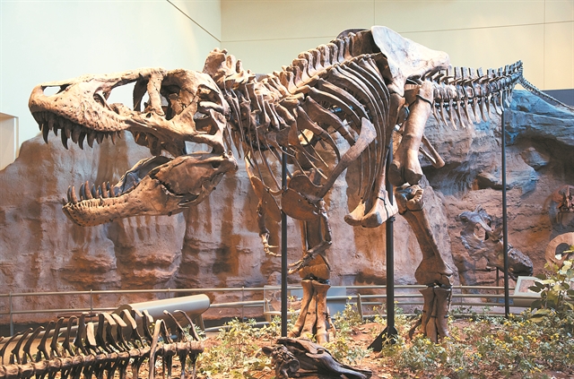 Στο «σχολείο» της εξαφάνισης ειδών