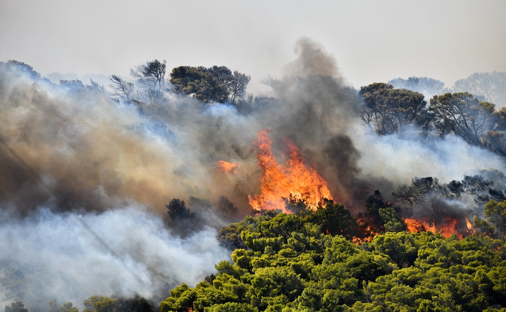 Σάμος : Πυρκαγιά σε δασική έκταση