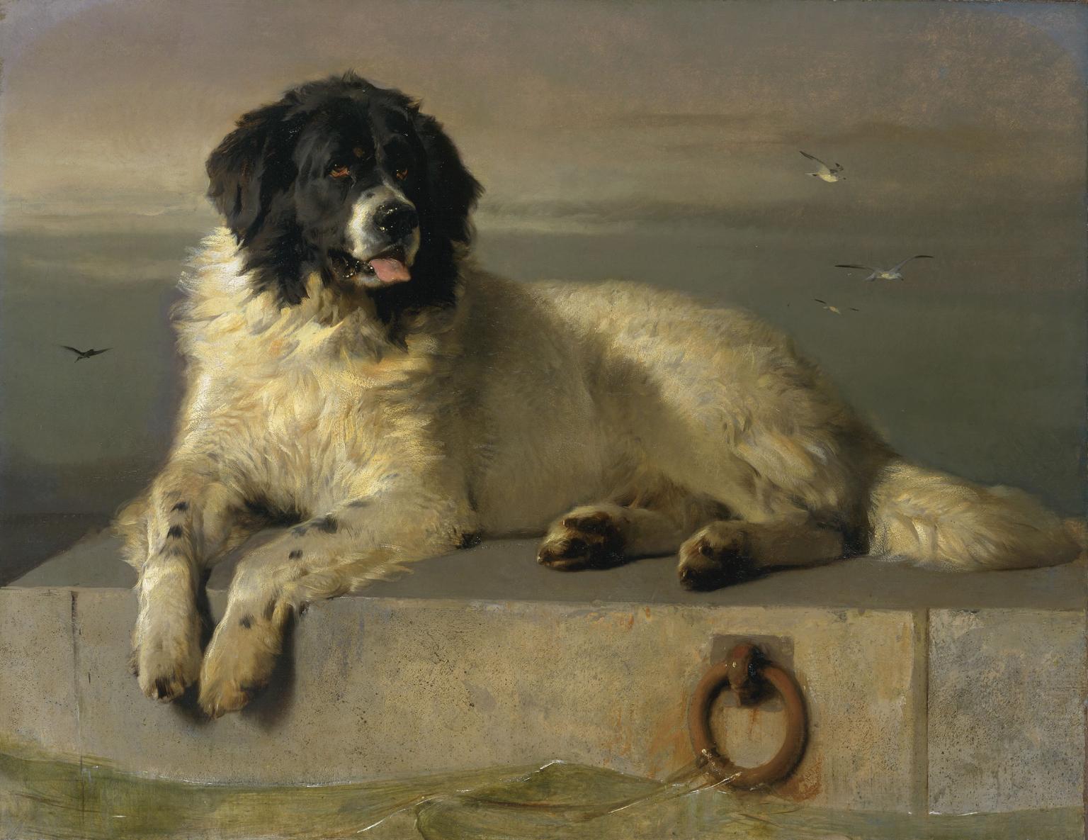 O ζωγράφος που αγαπούσε τα σκυλιά