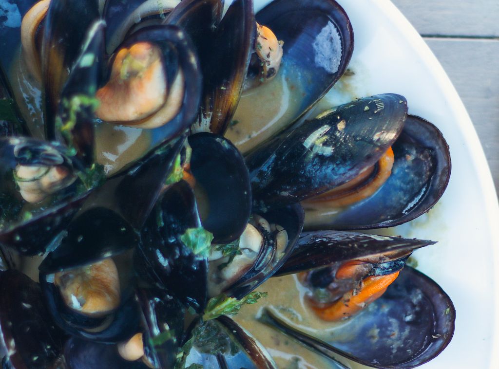 Μύδια αχνιστά