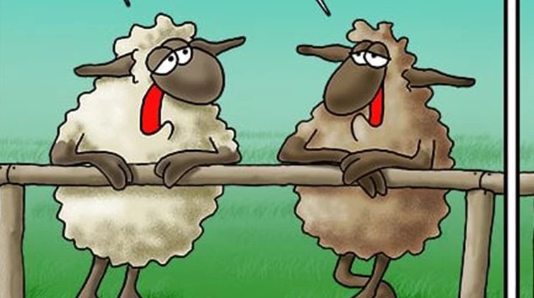 Αρκάς με πασχαλινή διάθεση – Οταν τα αρνιά συζητούν