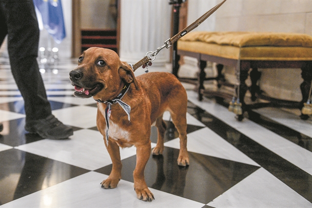 Μια παγωμένη εικόνα