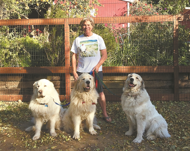 Το καλύτερο τεστ ανίχνευσης έχει… μουσούδα