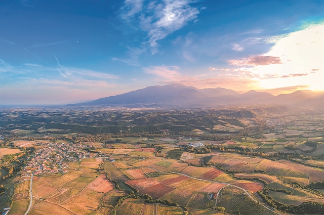 «Βραχυκύκλωμα» στους δασικούς χάρτες
