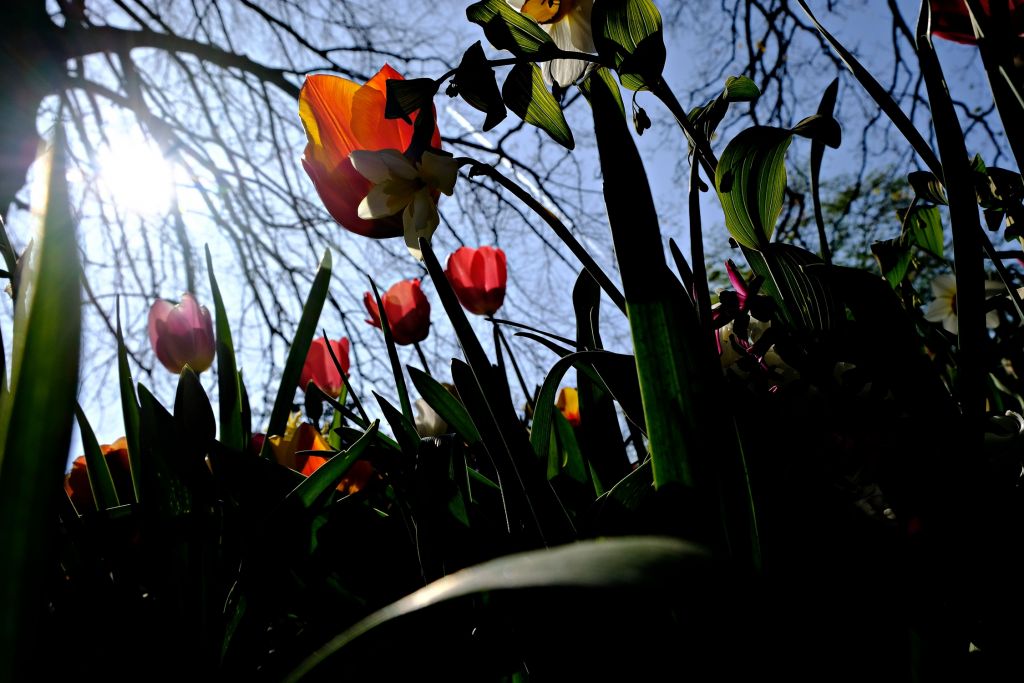 Καιρός: Συννεφιά και ζέστη σήμερα –  Πάσχα με καύσωνα