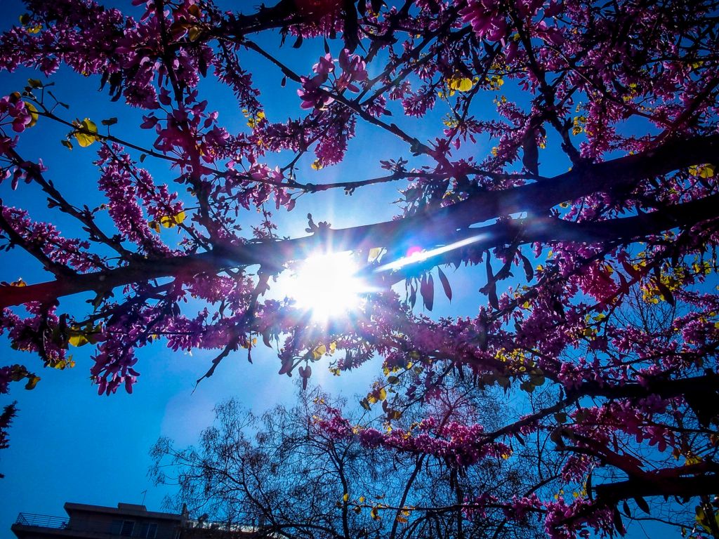 Καιρός: Αίθριος με τοπικές βροχές και καταιγίδες – Η πρόβλεψη της ΕΜΥ
