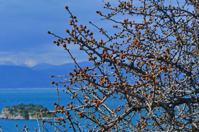 Καιρός: Ανεβαίνει κι άλλο η θερμοκρασία – Ερχεται αφρικανική σκόνη