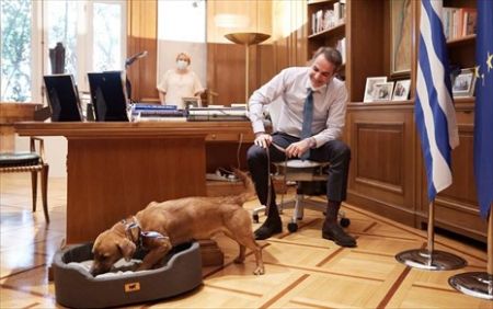 Μητσοτάκης για ζώα συντροφιάς: Η προστασία τους είναι θέμα πολιτισμού