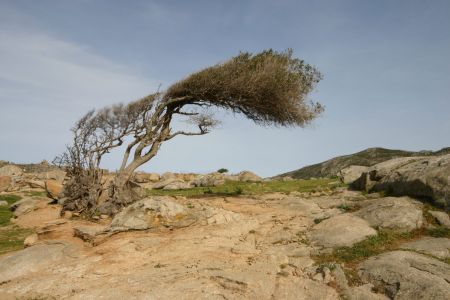 Καιρός: Τα 140 χιλιόμετρα την ώρα έφτασαν οι ριπές του ανέμου στην Τήνο